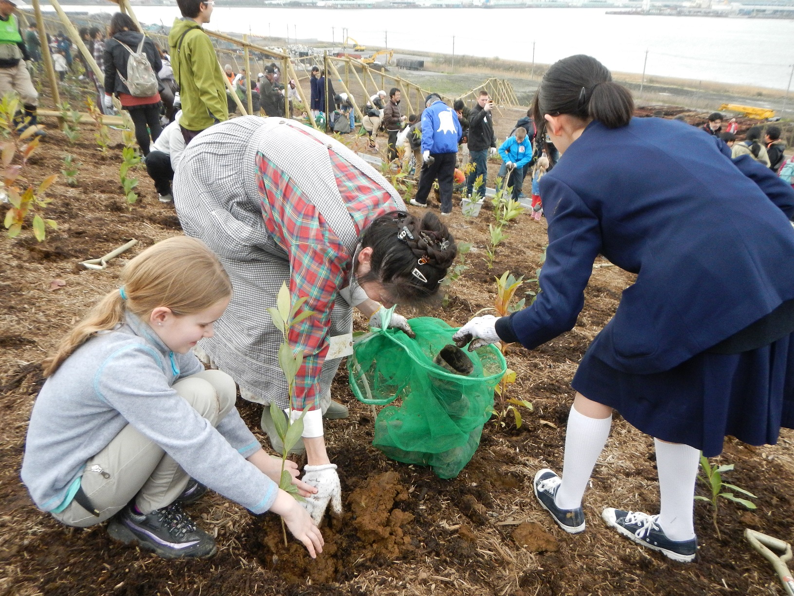 国際森林デー 森林文化協会