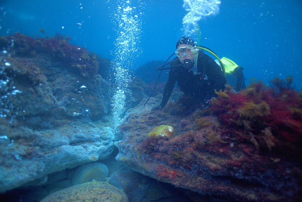 海底から湧き上がる大量の泡と筆者＝式根島で