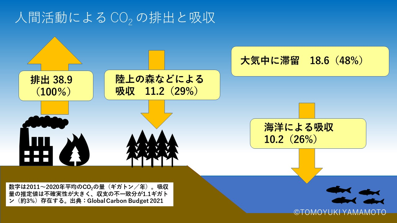 %e3%80%90%e6%94%b9%e8%a8%82%e7%89%88%e3%80%91%e7%82%ad%e7%b4%a0%e3%81%ae%e5%be%aa%e7%92%b0%ef%bc%88%e3%82%b0%e3%83%ad%e3%83%bc%e3%83%90%e3%83%ab%e3%82%ab%e3%83%bc%e3%83%9c%e3%83%b3%e3%83%97%e3%83%ad