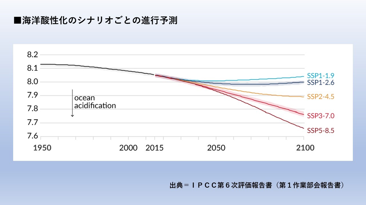 %e6%b5%b7%e6%b4%8b%e9%85%b8%e6%80%a7%e5%8c%96%e3%81%ae%e5%b0%86%e6%9d%a5%e4%ba%88%e6%b8%ac%ef%bc%88ipcc-ar6-wg1%ef%bc%89